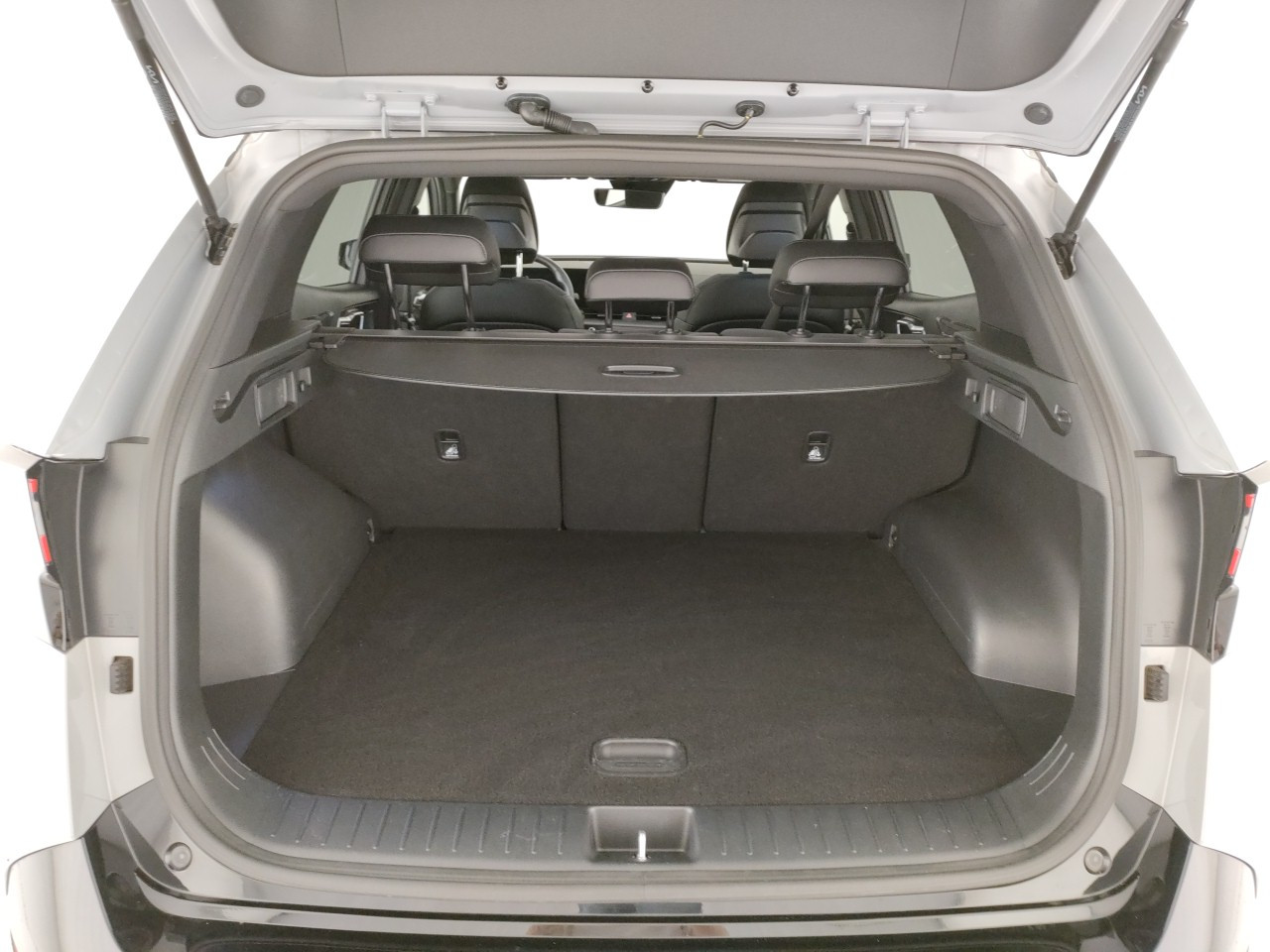 Kia Sportage Usato 2024 Sportage Reggio Emilia