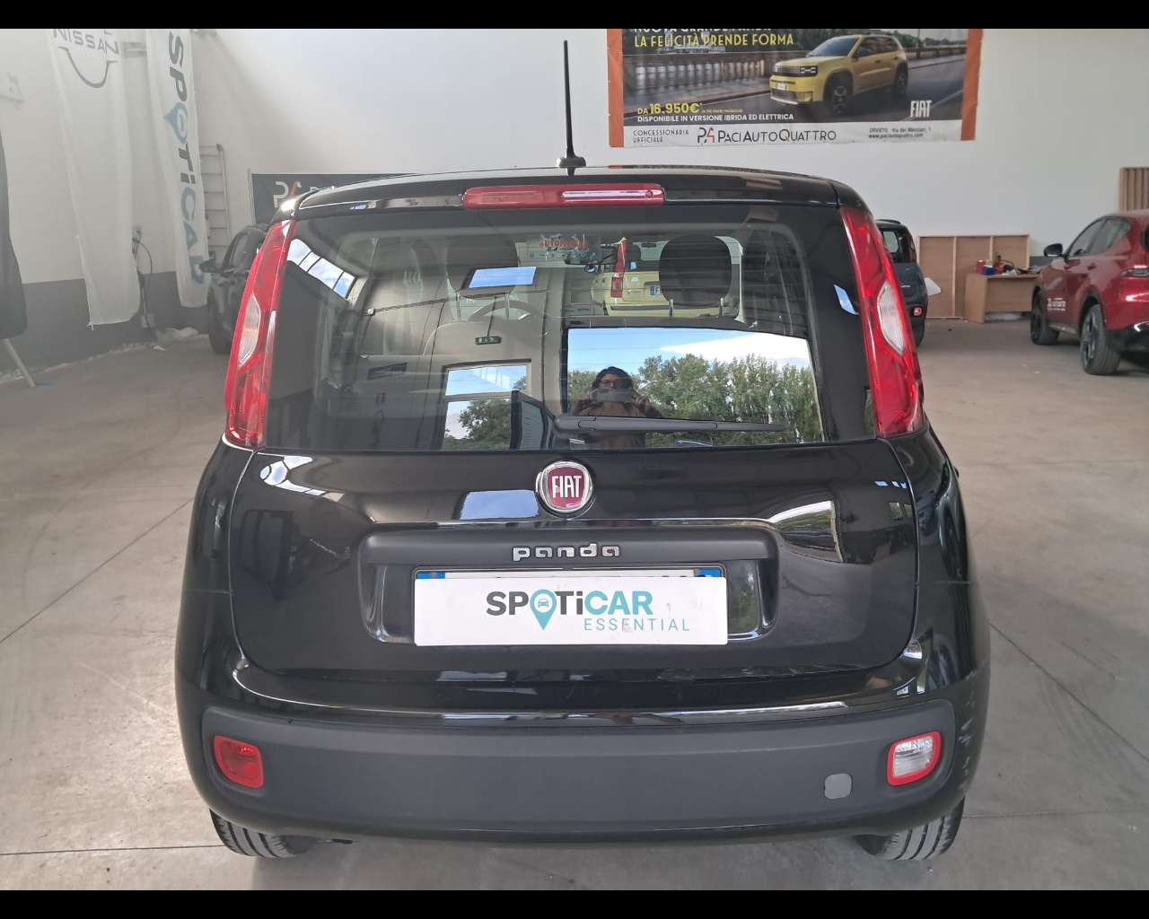 Foto FIAT Panda 1.2 Easy s&s 69cv 