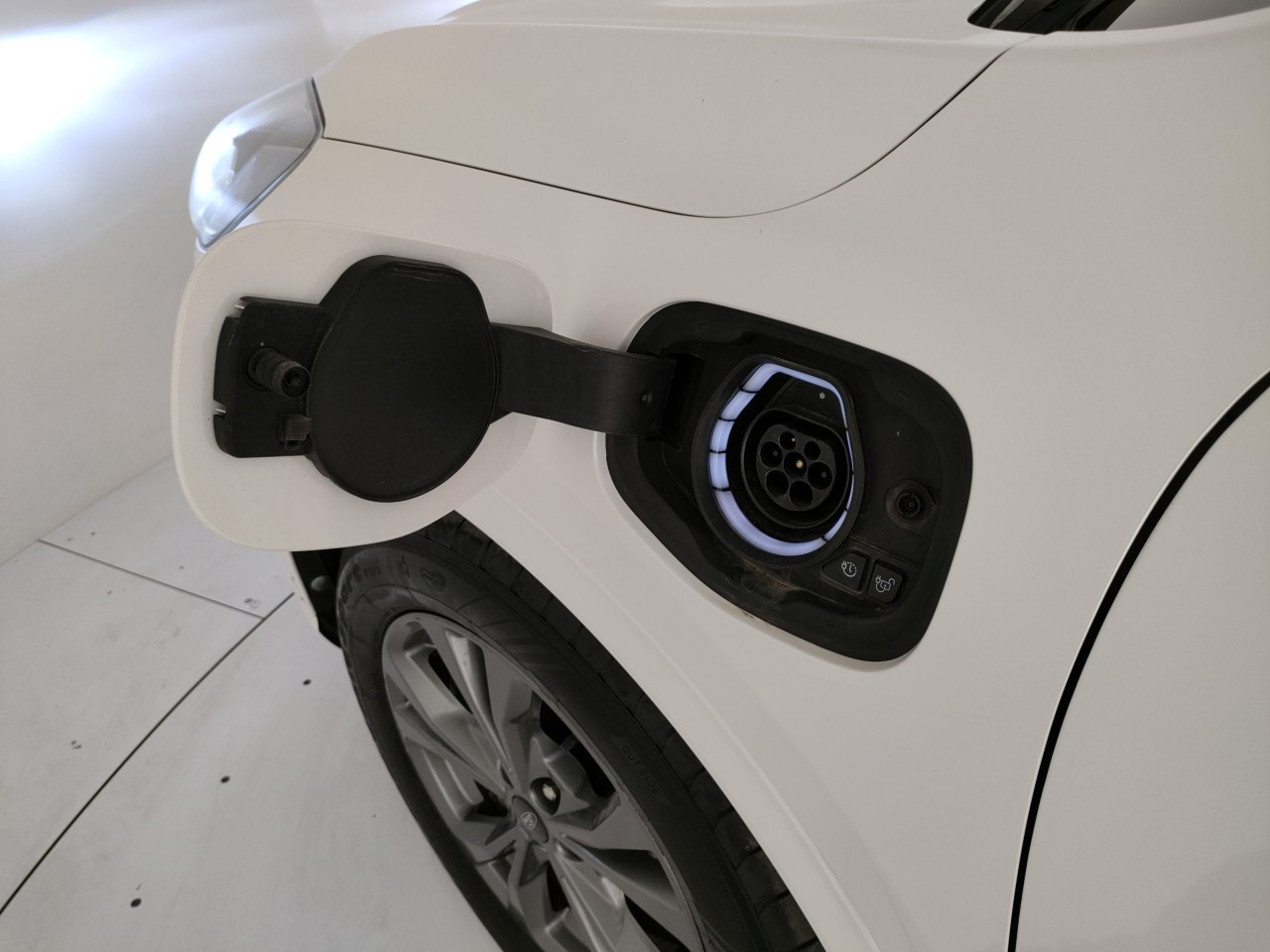 Ford Kuga Usato 2021 Kuga Porto Mantovano