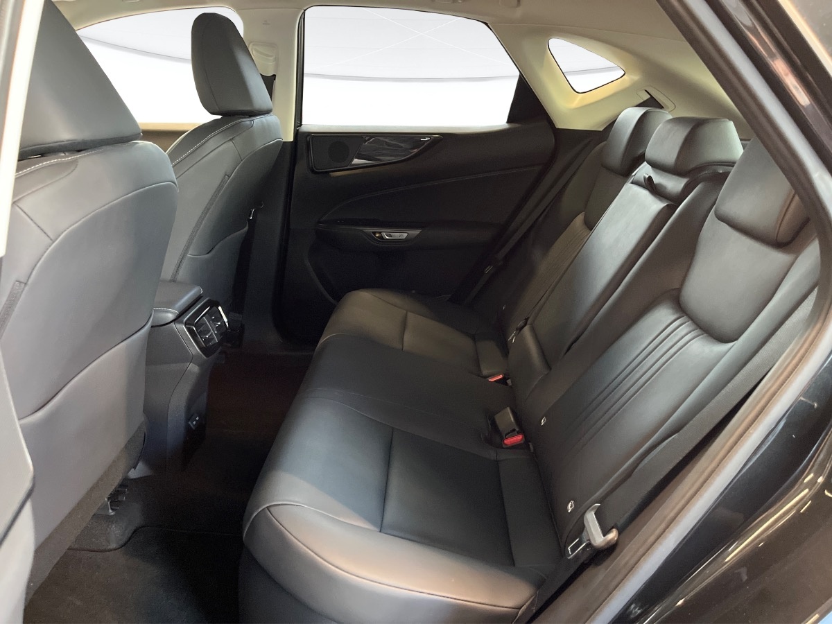 Lexus NX Usato 2022 NX Altavilla Vicentina