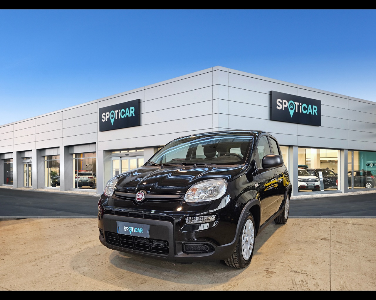 FIAT Panda Serie 7 1.0 70cv HybridPanda Ibrido benzina Aziendale
