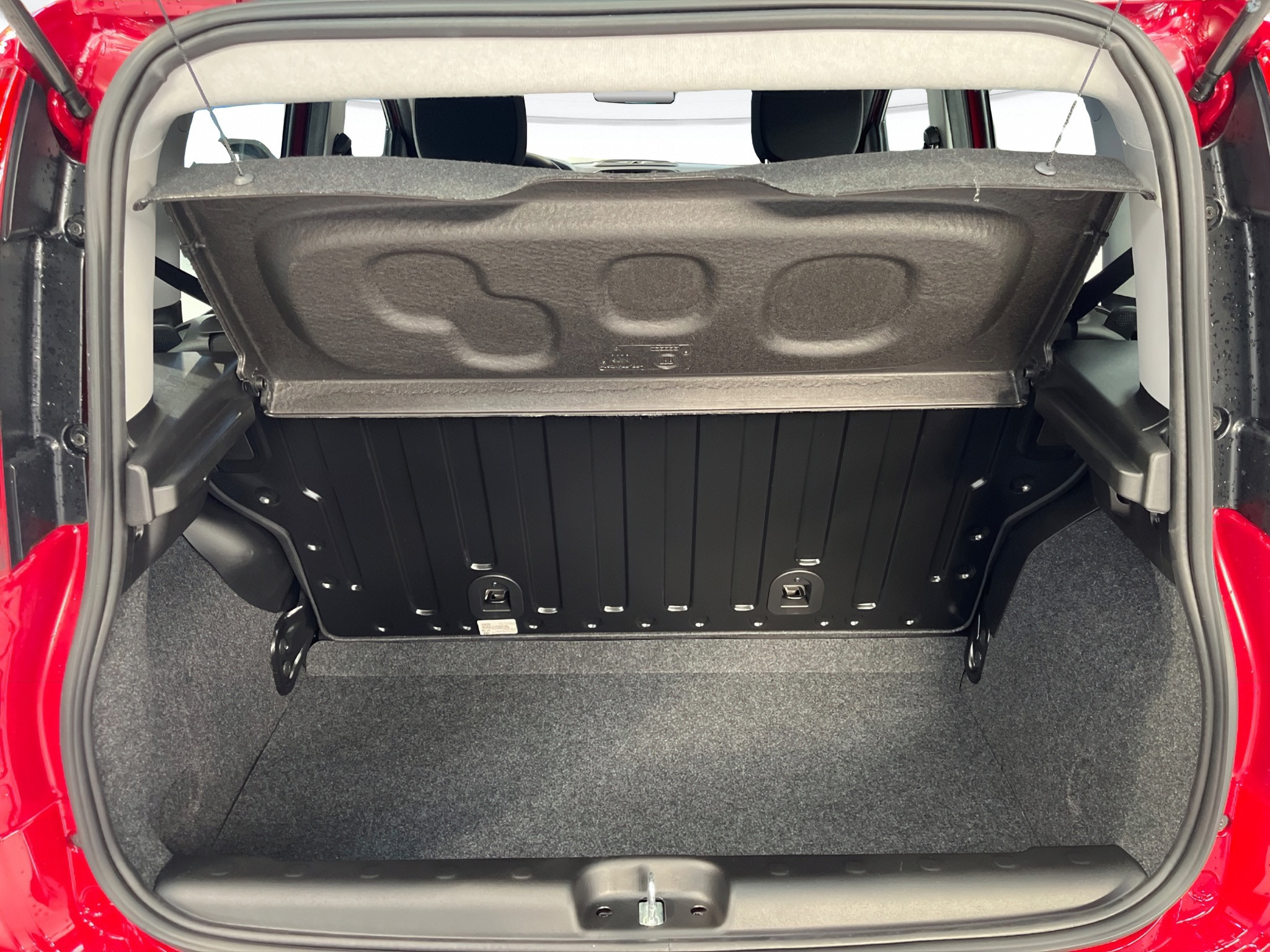 Fiat Pandina KM0 2026 Pandina Rovigo