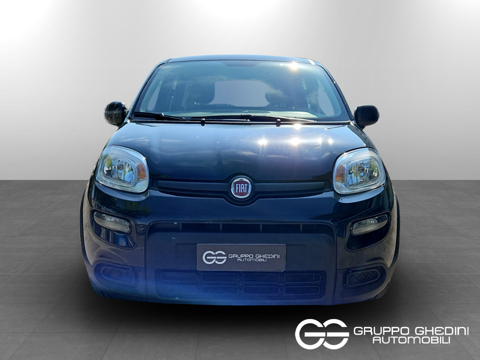 FIAT Panda 1.0 firefly hybrid s&s 70cv Ibrida usato - 3