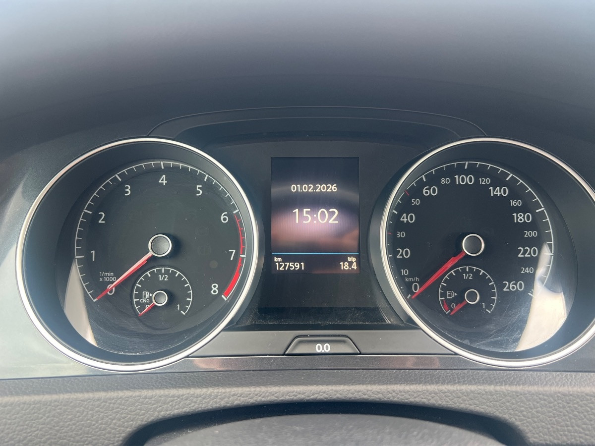 Volkswagen Golf Usato 2017 Golf Rovigo