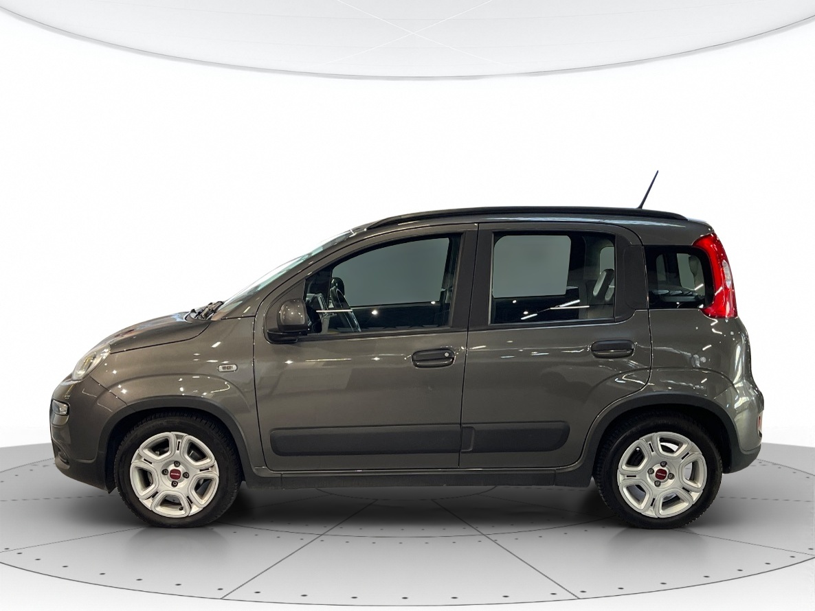 Fiat Panda Usato 2022 Panda Cerea