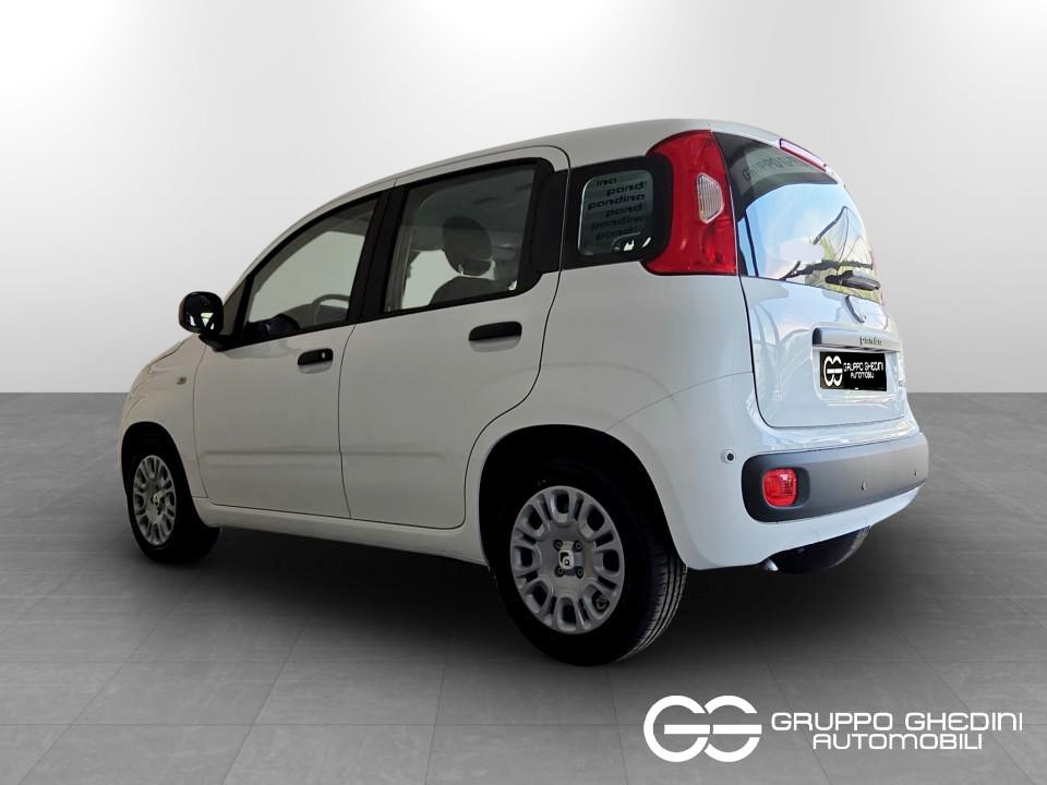 FIAT Panda Pandina My26 1.0 65cv Hybrid Pop Ibrida km0 - 2