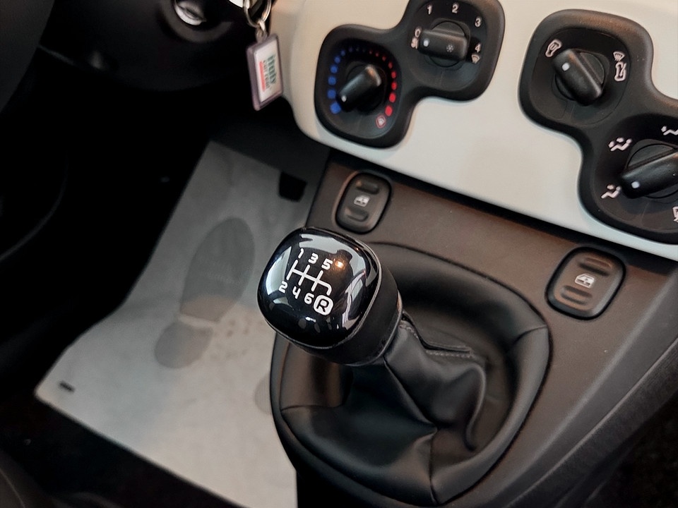 FIAT Panda Pandina 1.0 firefly hybrid s&s 70cv Ibrida usato - 15