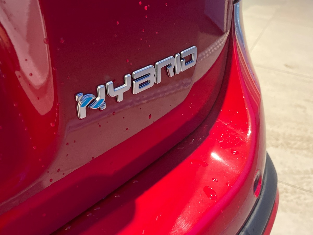 Fiat Panda Usato 2024 Panda Cerea