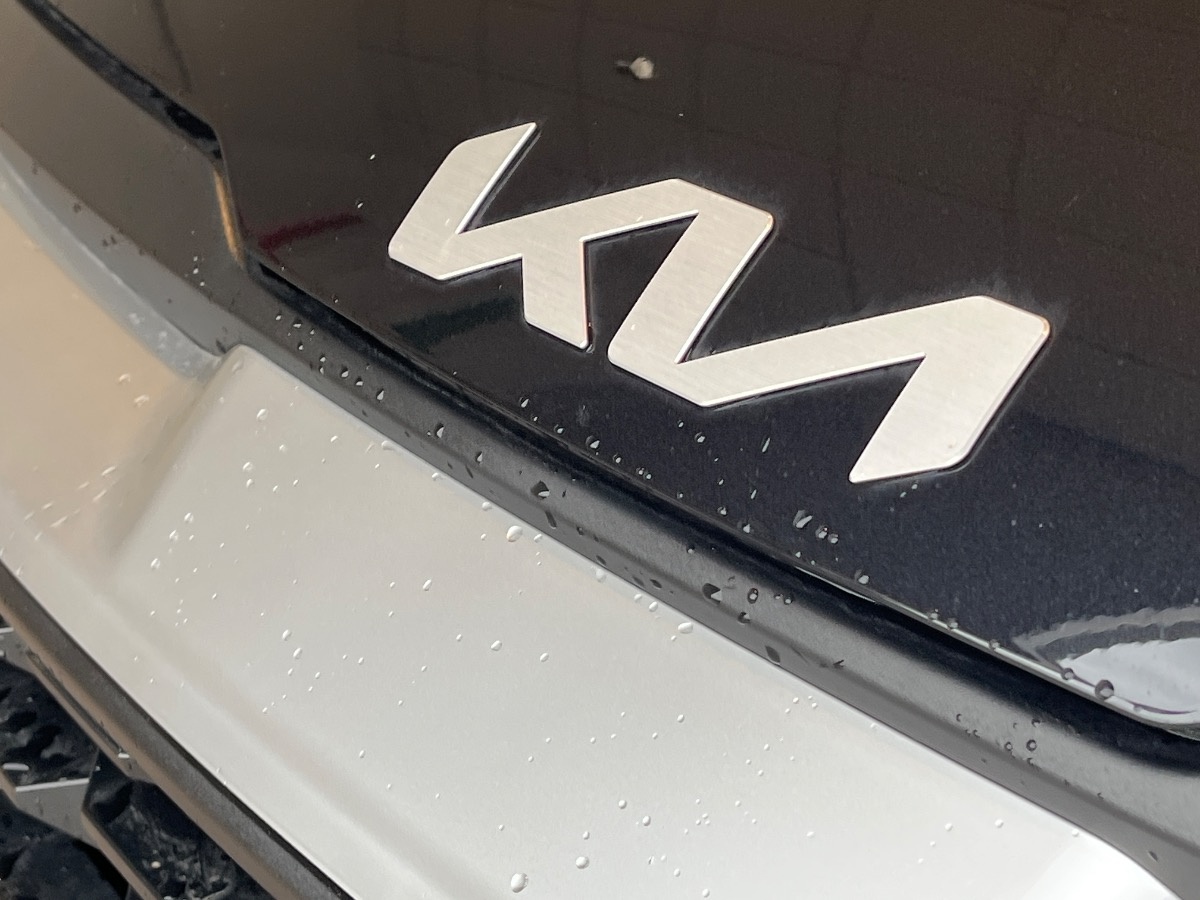 Kia Sportage Usato 2024 Sportage Cerea