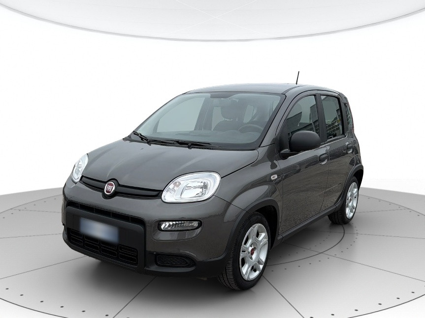 Fiat Panda Usato 2023 Panda Mestre