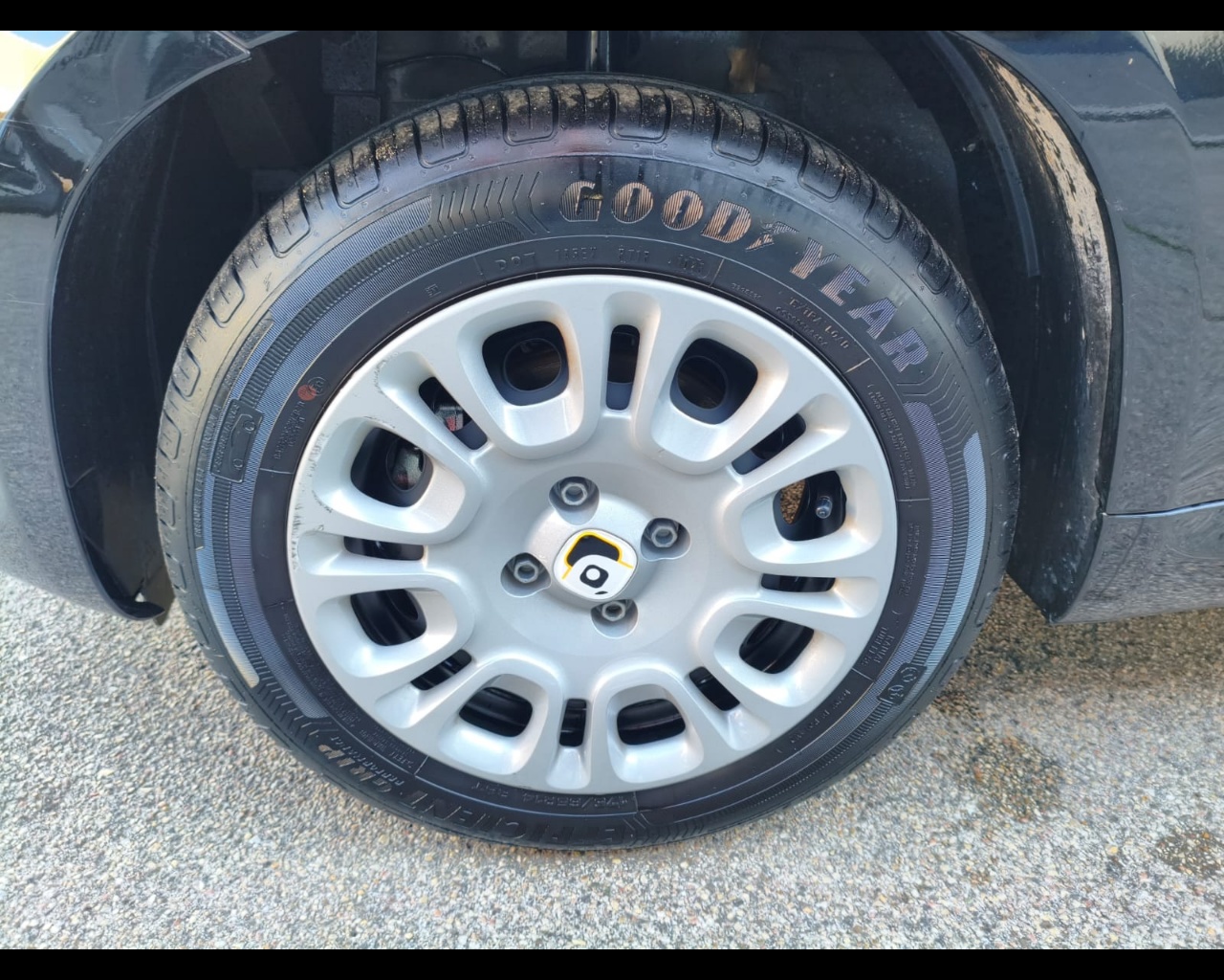 Foto FIAT Panda My25 1.0 70cv Hybrid Panda