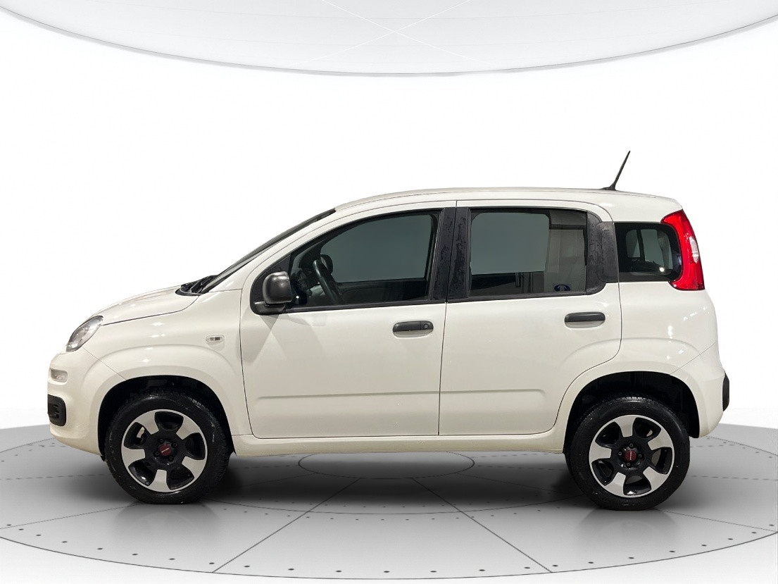 Fiat Panda Usato 2020 Panda Verona
