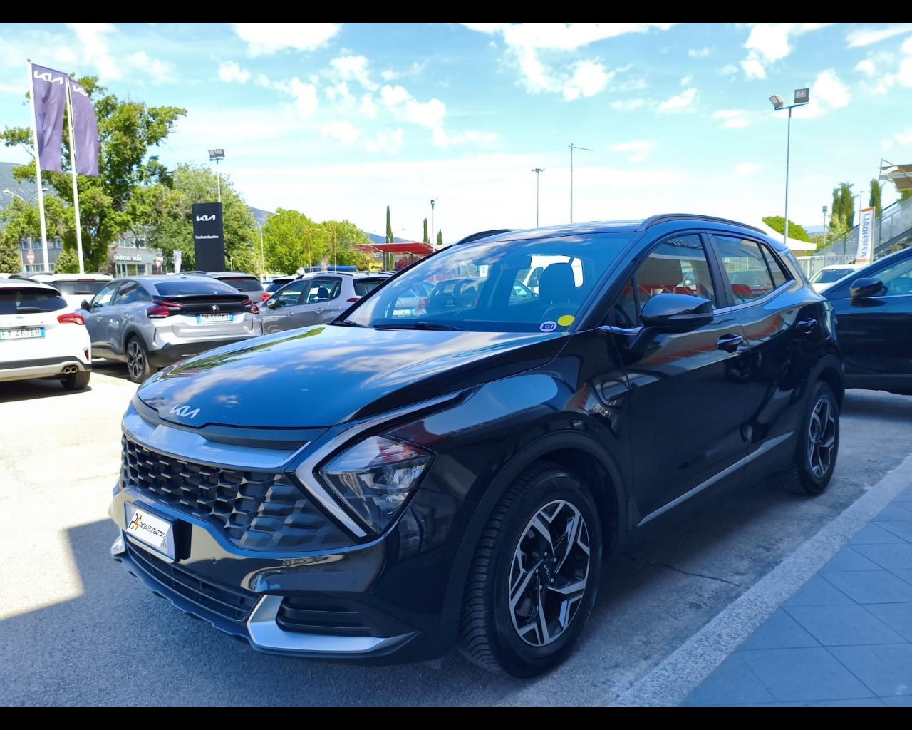 KIA Sportage 1.6 crdi mhev Business imt Usata