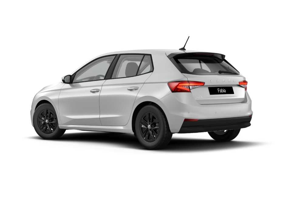 Skoda Fabia Aziendali 2026 Fabia Rovigo