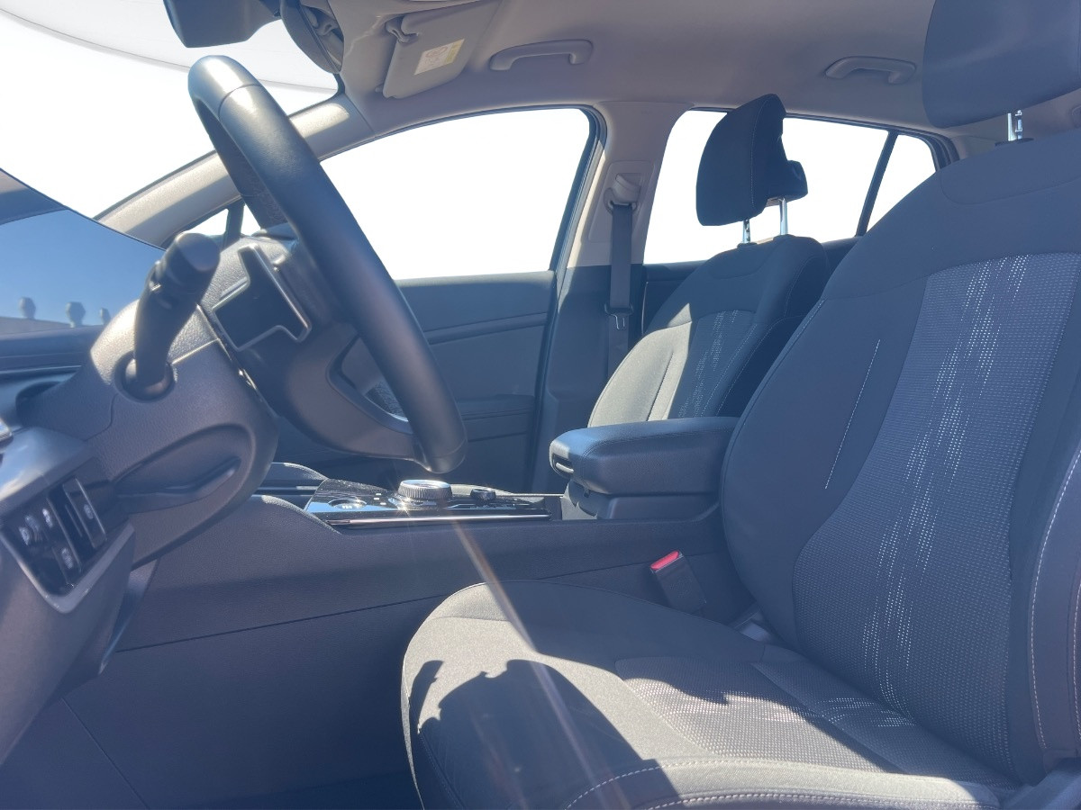 Kia Sportage Usato 2024 Sportage Rovigo