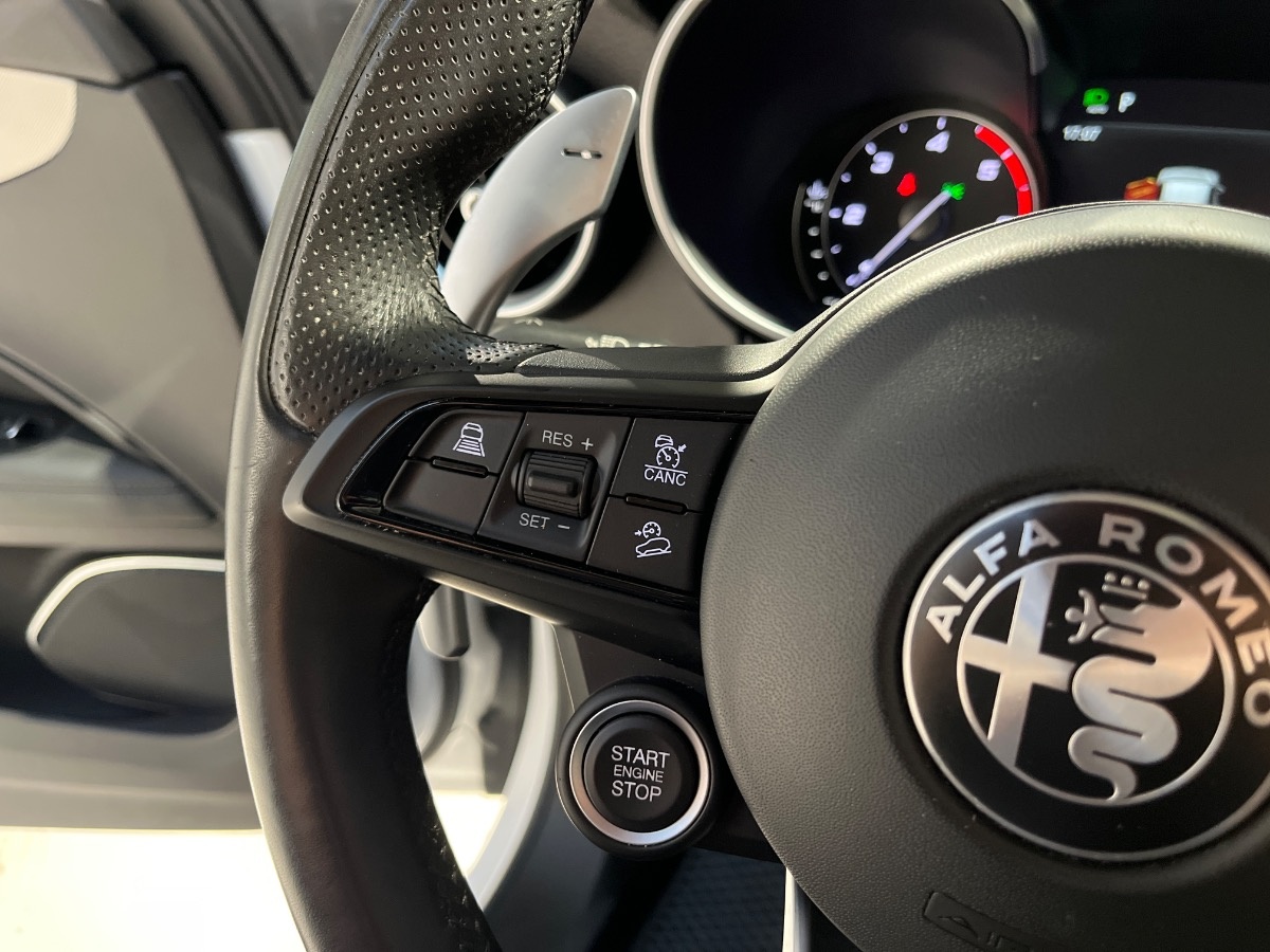 Alfa Romeo Stelvio Usato 2022 Stelvio Cerea