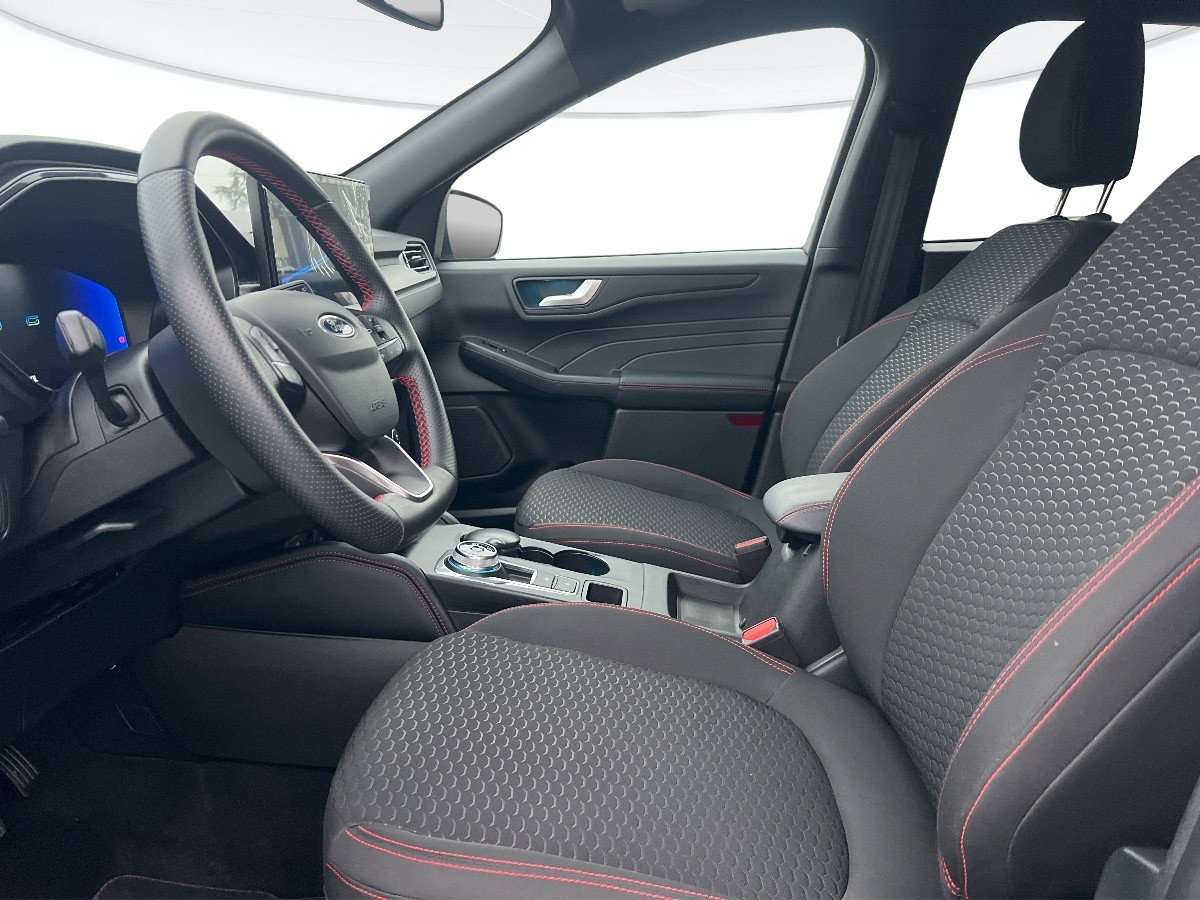 Ford Kuga Usato 2024 Kuga Rovigo