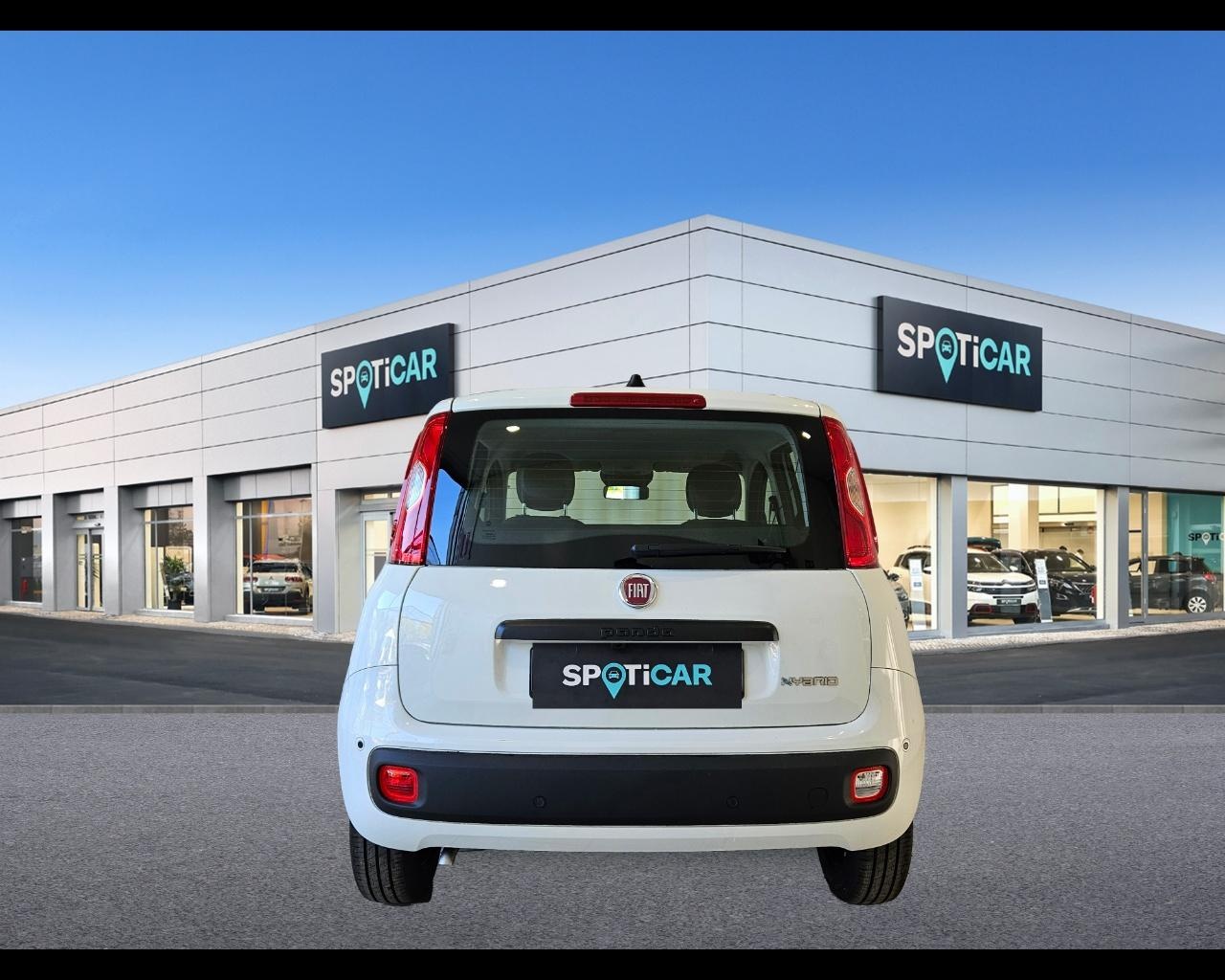 FIAT Panda 1.0 70cv Hybrid Icon Ibrido benzina Aziendale - 3