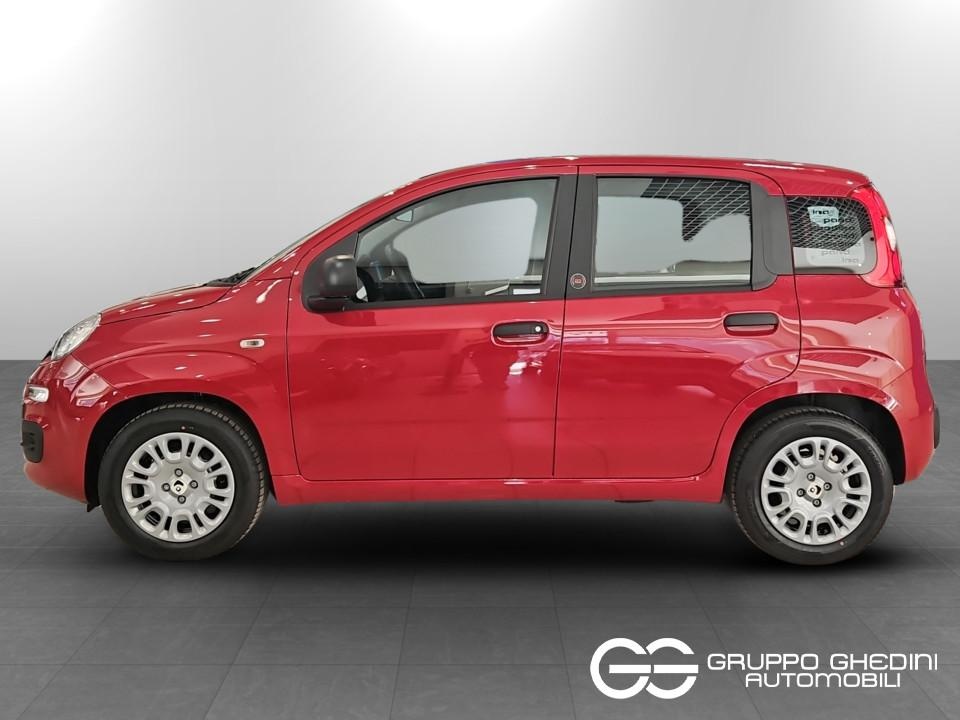 FIAT Panda Pandina My26 1.0 65cv Hybrid Icon Ibrida km0 - 1