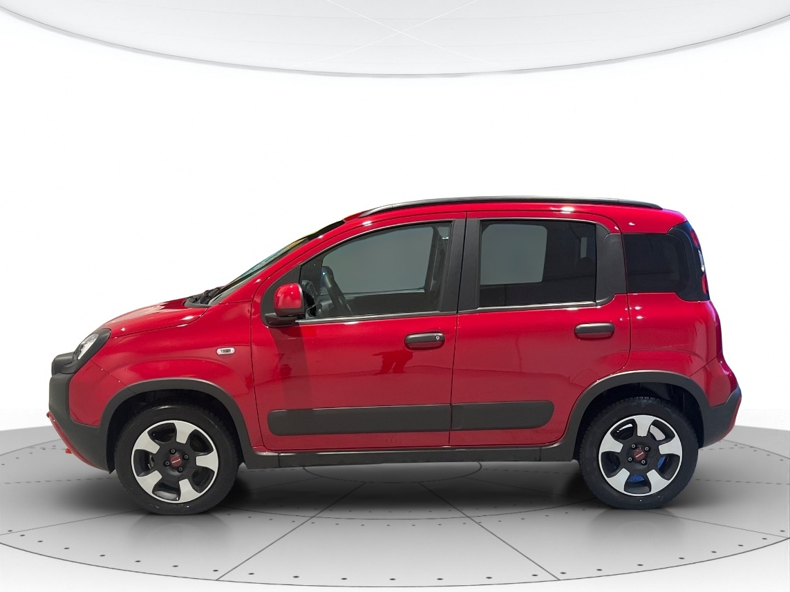 Fiat Panda Usato 2024 Panda Cerea