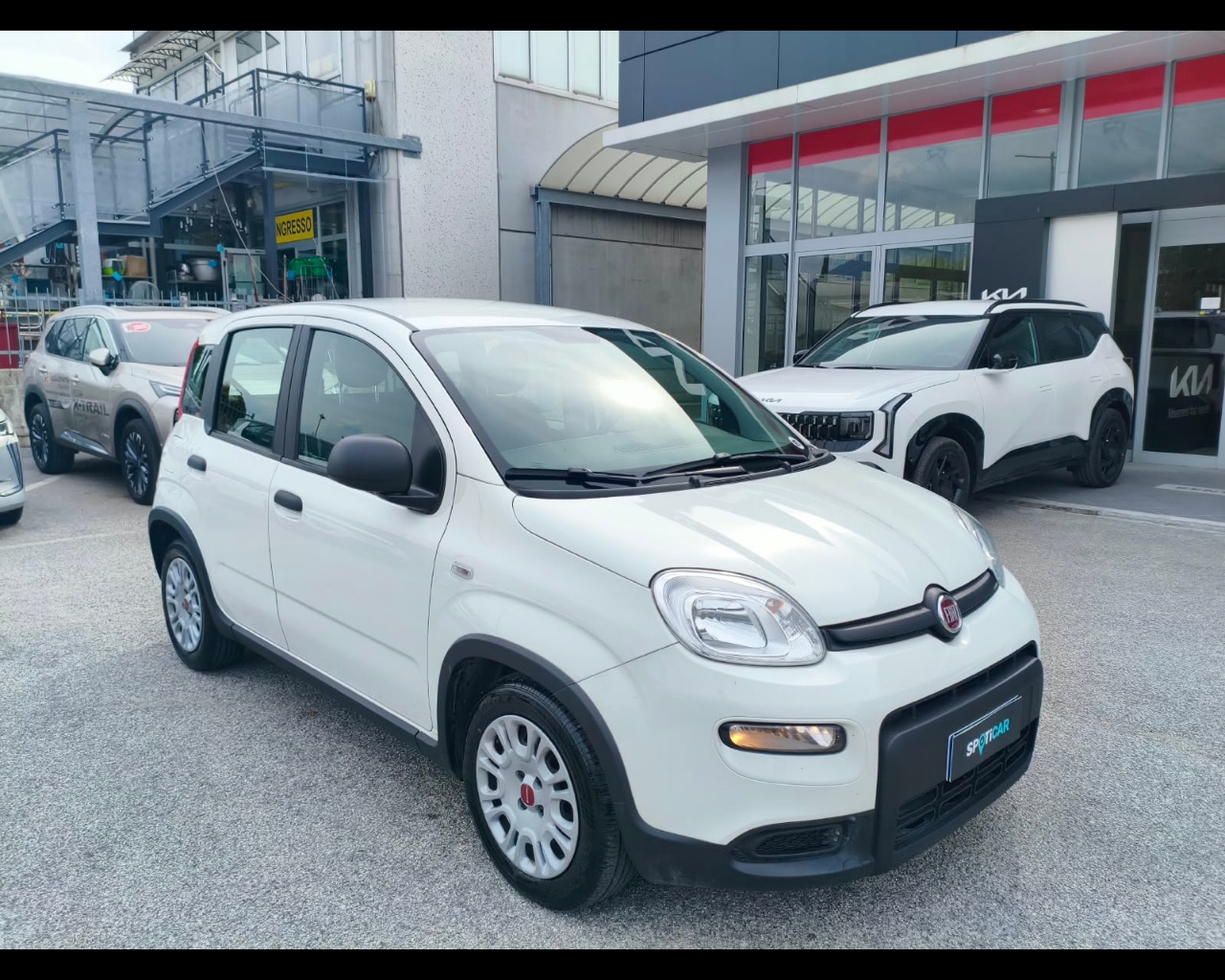Foto FIAT Panda 1.0 firefly hybrid s&s 70cv