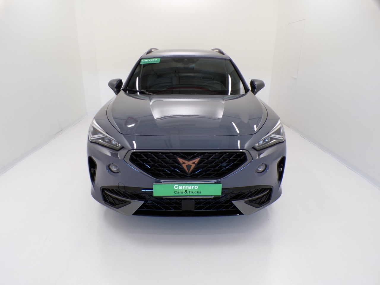 Cupra Formentor Formentor 2.0 TSI 190cv 4Drive DSG - 2