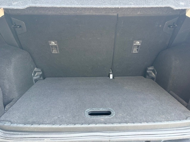 Ford EcoSport Usato 2019 EcoSport Modena