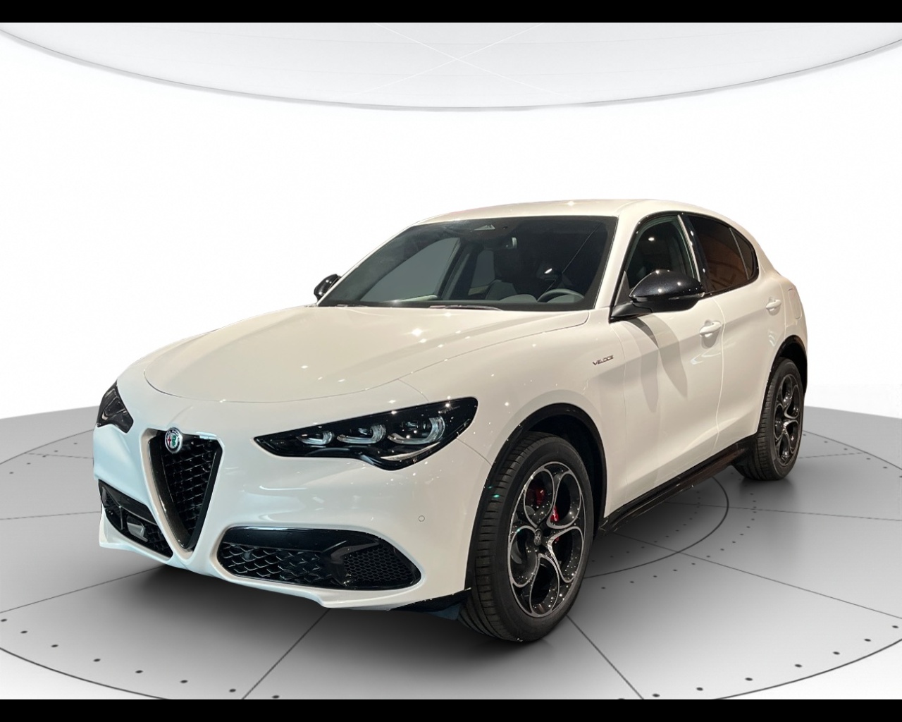 Alfa Romeo Stelvio Nuovo Diesel Stelvio Rovigo
