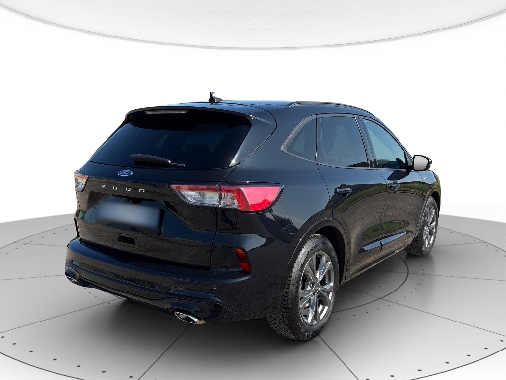 Ford Kuga Usato 2020 Kuga Rovigo