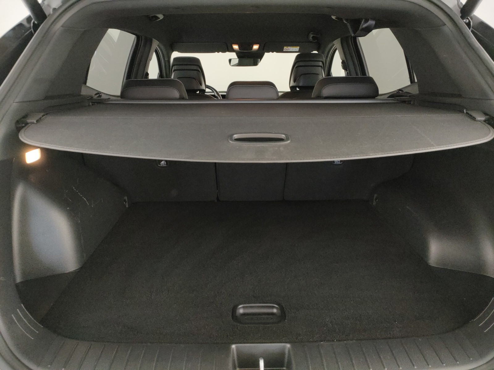 Kia Sportage Usato 2024 Sportage Legnago