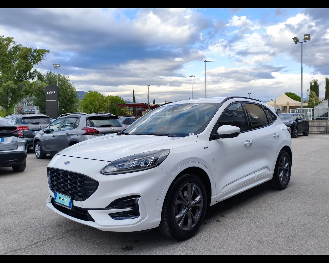 FORD Kuga 1.5 ecoblue ST-Line 2wd 120cv Usata