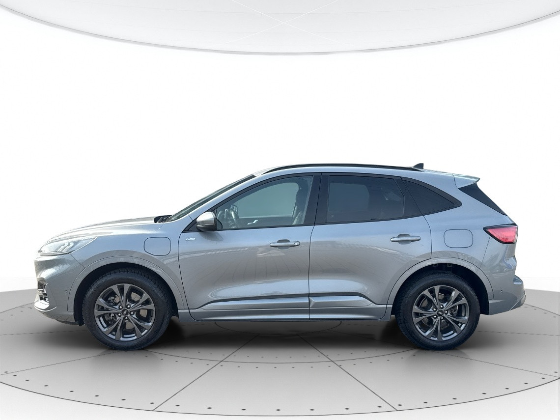 Ford Kuga Usato 2020 Kuga Padova