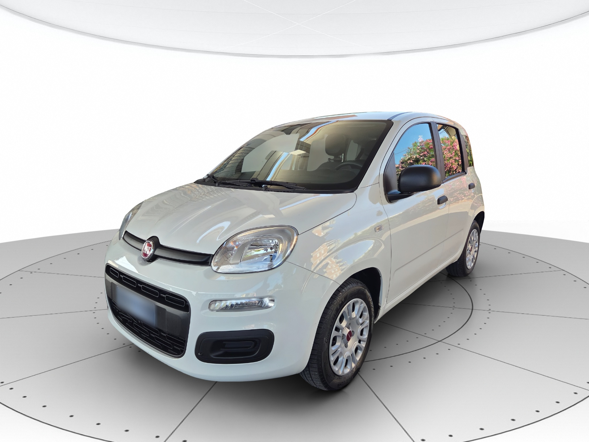 Fiat Panda Usato 2019 Panda Reggio Emilia
