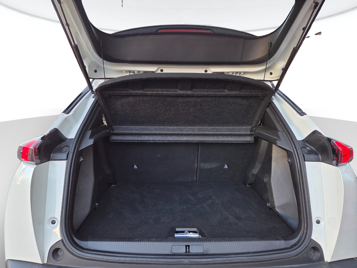 Peugeot 2008 Usato 2020 2008 Reggio Emilia