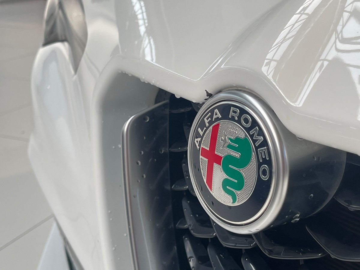 Alfa Romeo Stelvio Usato 2023 Stelvio Rovigo
