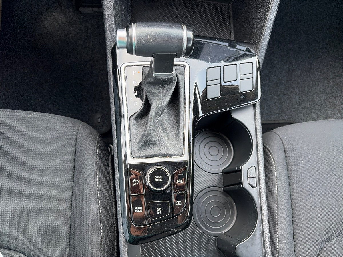 Kia Sportage Usato 2023 Sportage Mestre