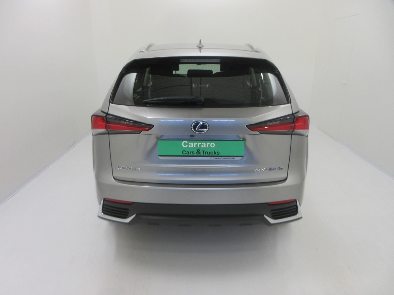 Lexus NX NX 300 2.5 Hybrid Executive 4WD CVT - 7