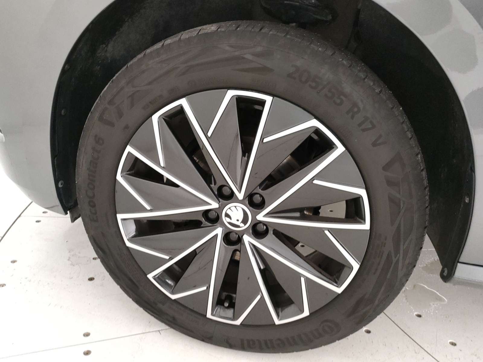 Skoda Kamiq Usato 2024 Kamiq San Vendemiano