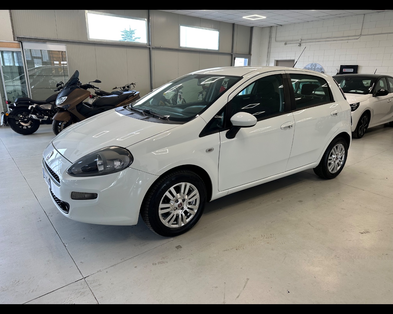 Fiat Punto 5p 1.2 Street (easy)