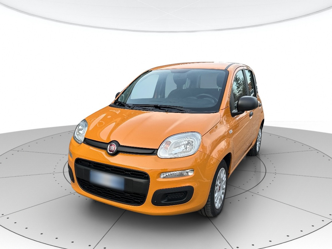 Fiat Panda Usato 2020 Panda Carpi