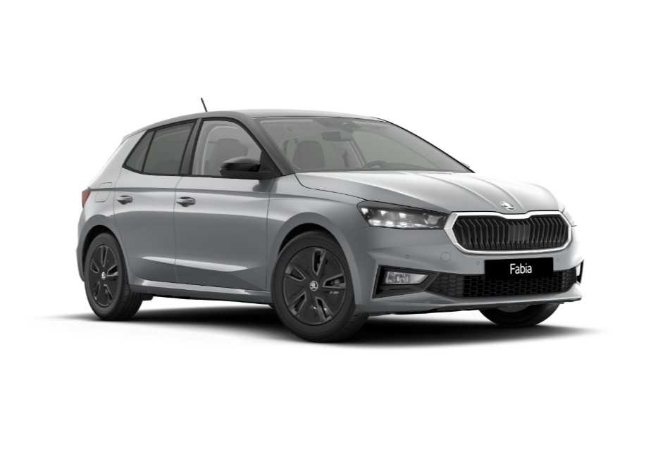 Skoda Fabia Nuovo Benzina Fabia Legnago