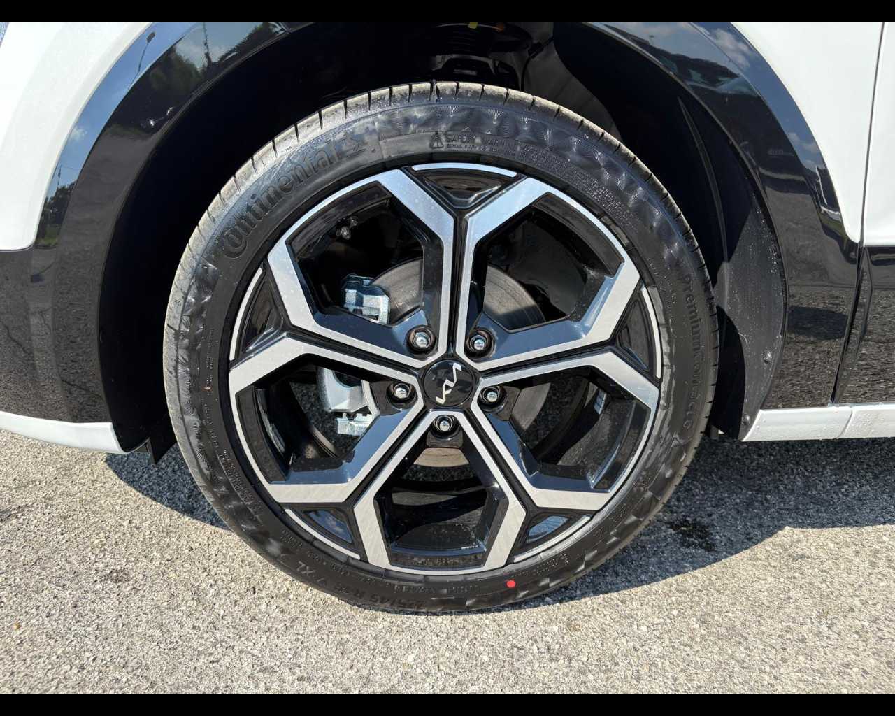 Kia Niro Aziendali 2025 Niro Rovigo