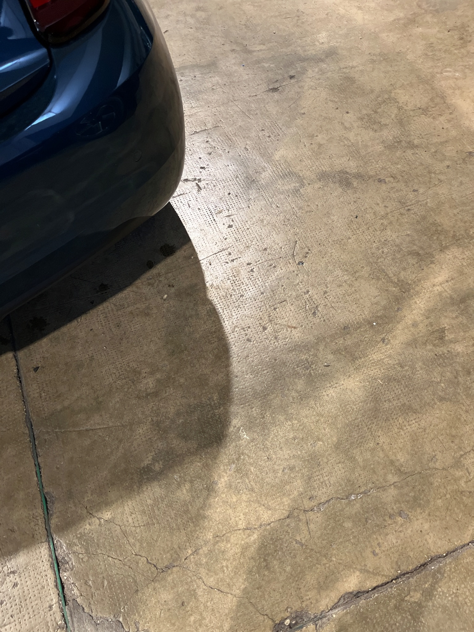 Fiat 500 Nuovo Ibrido benzina 500 Rovigo