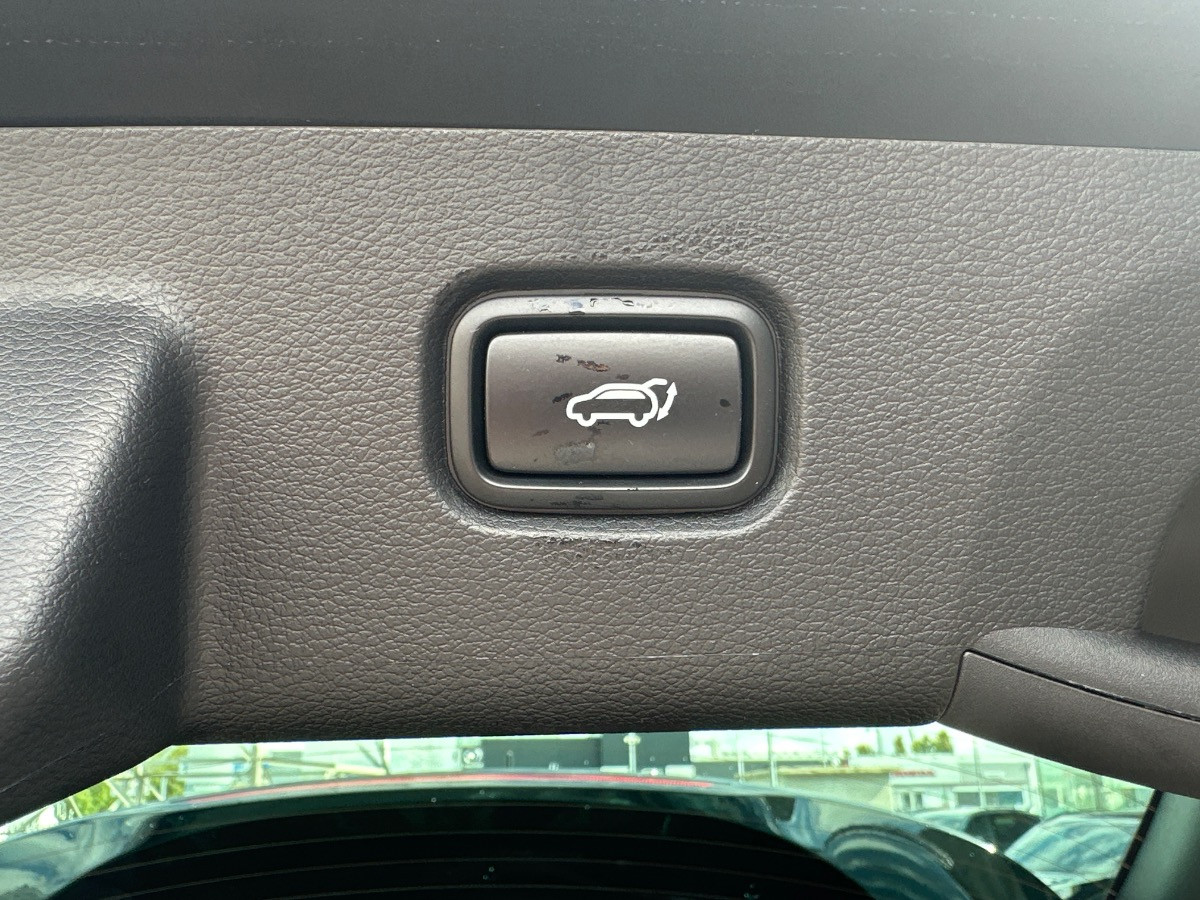 Kia Sportage Usato 2025 Sportage Padova