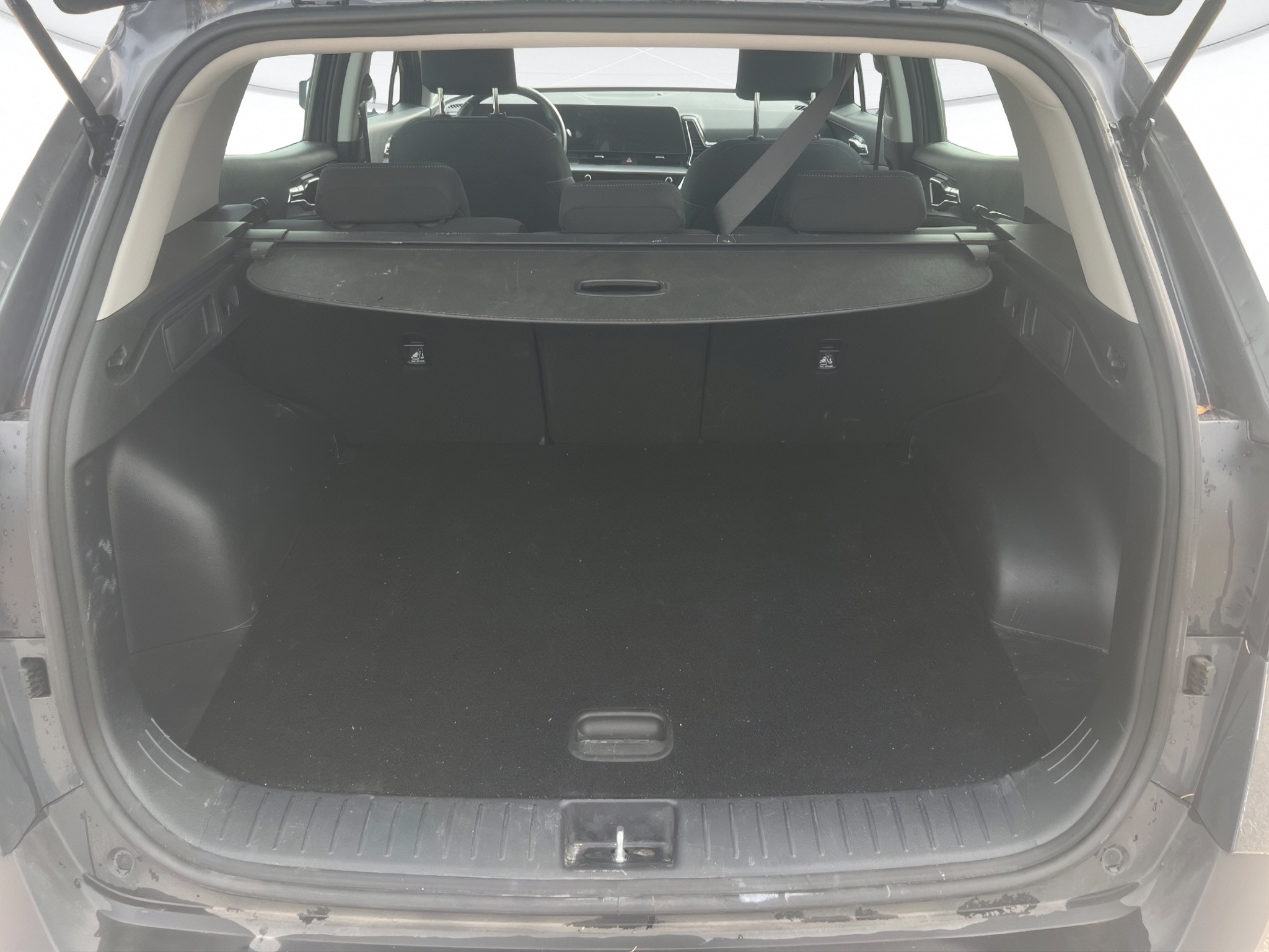 Kia Sportage Usato 2025 Sportage Rovigo