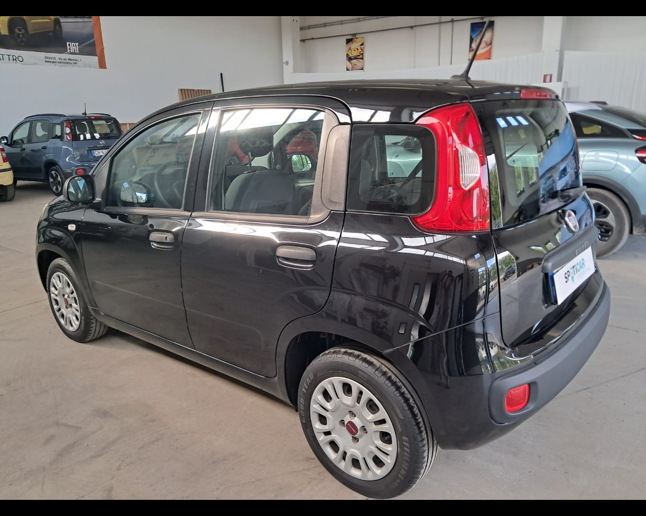 Foto FIAT Panda 1.2 Easy s&s 69cv 