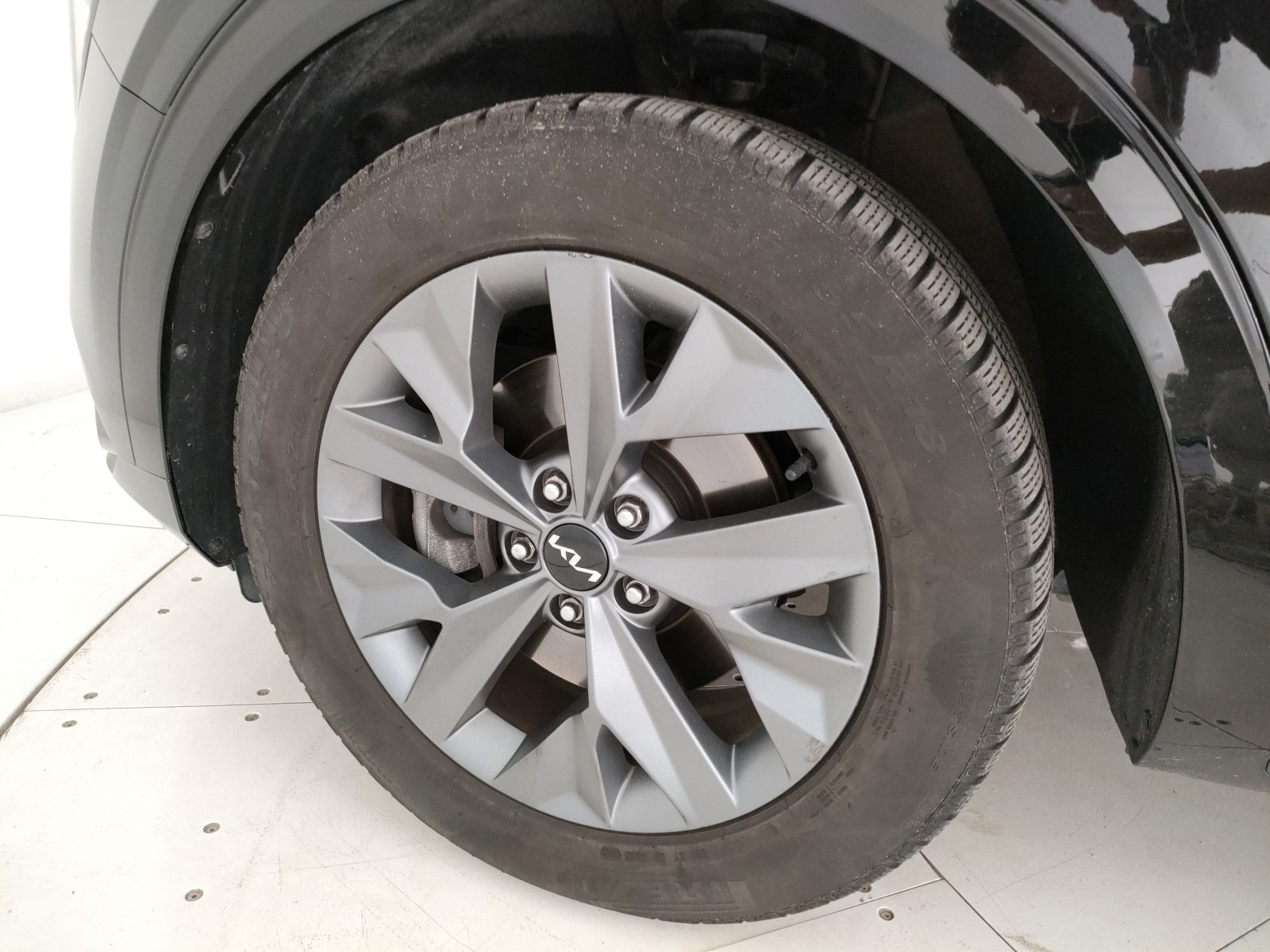 Kia Sportage Usato 2023 Sportage Legnago