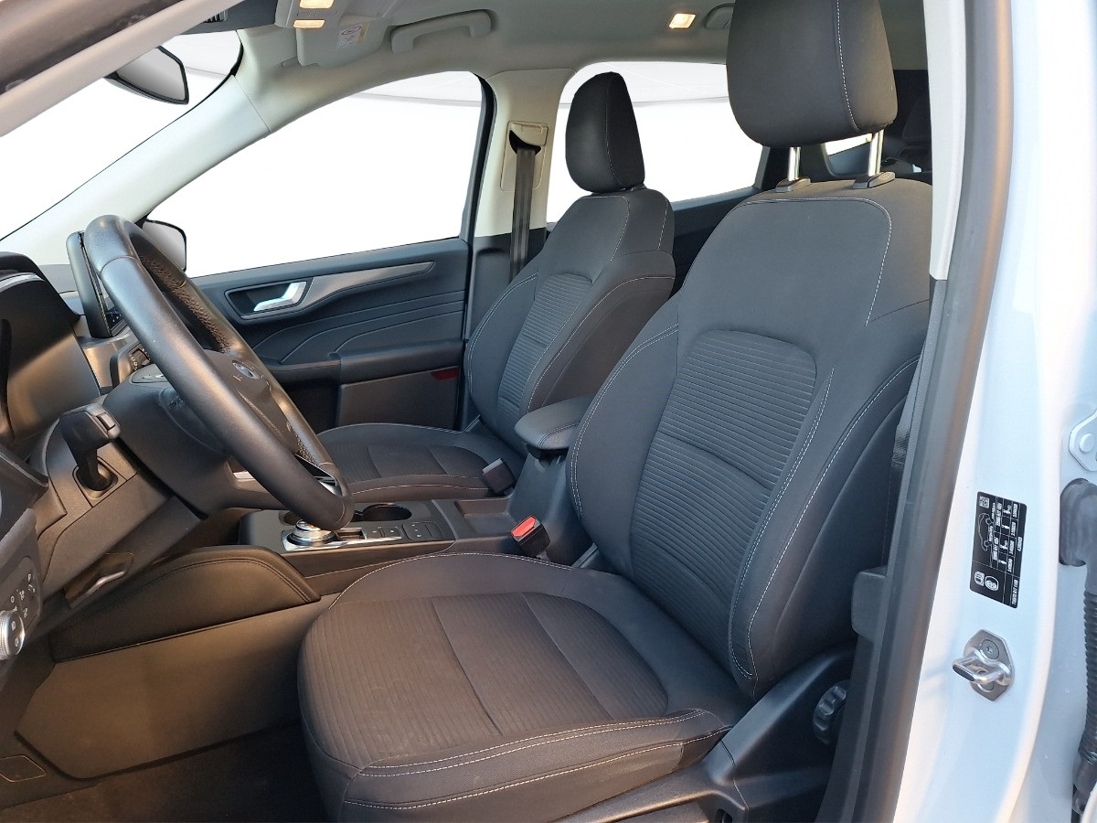 Ford Kuga Usato 2021 Kuga Rovigo