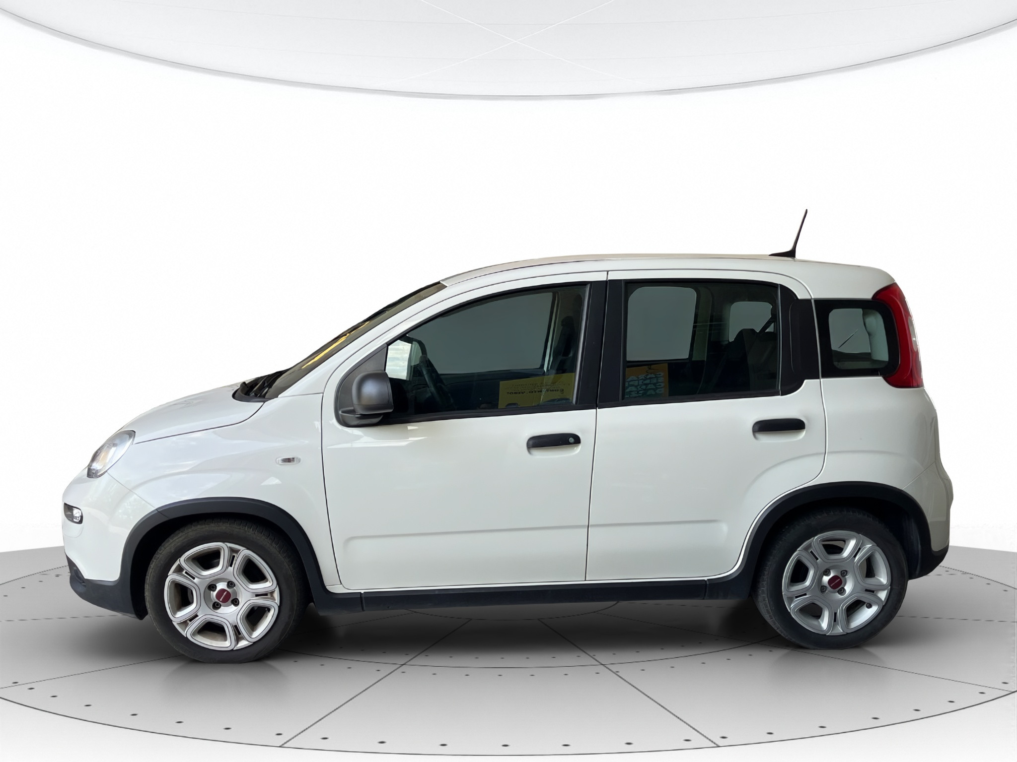 Fiat Panda Usato 2024 Panda Cerea