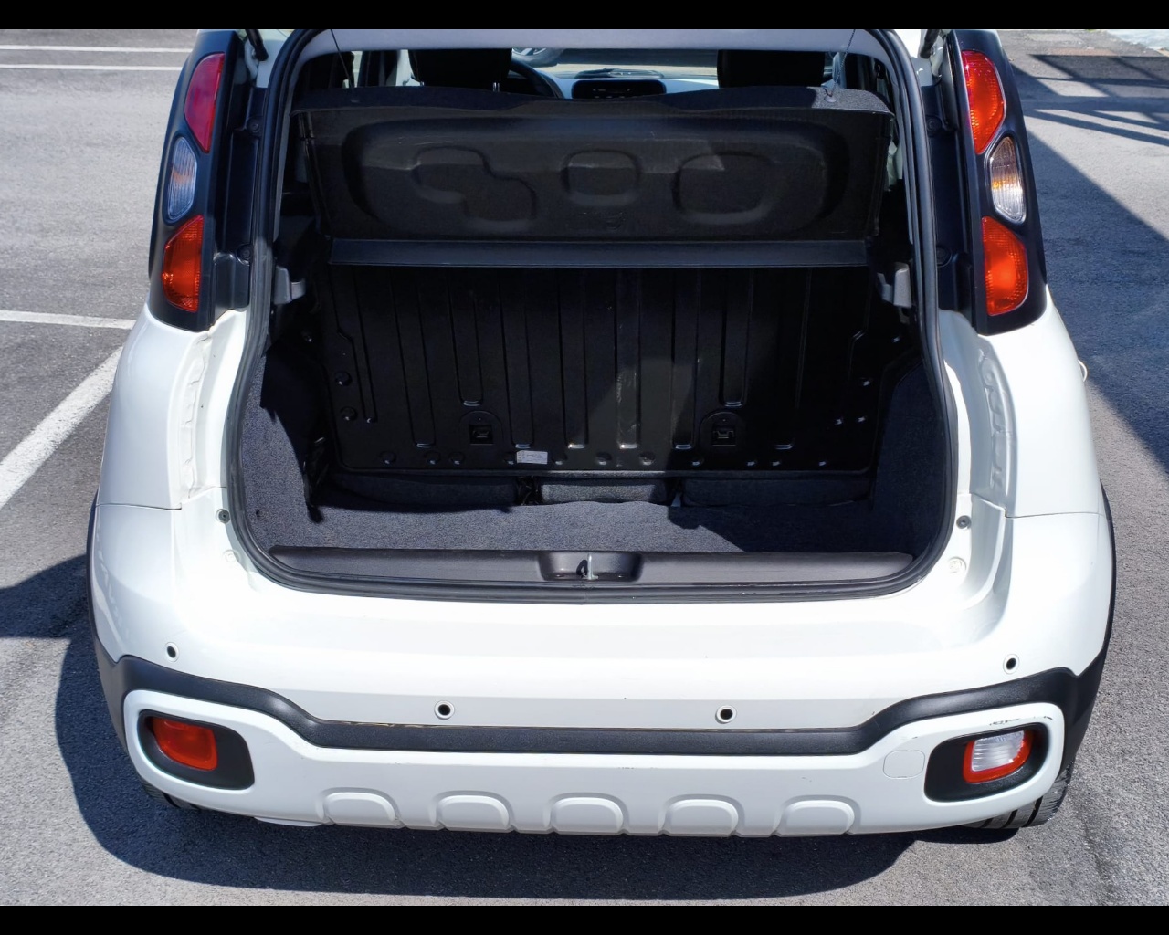 Foto FIAT Pandina Cross 1.0 firefly hybrid s&s 70cv